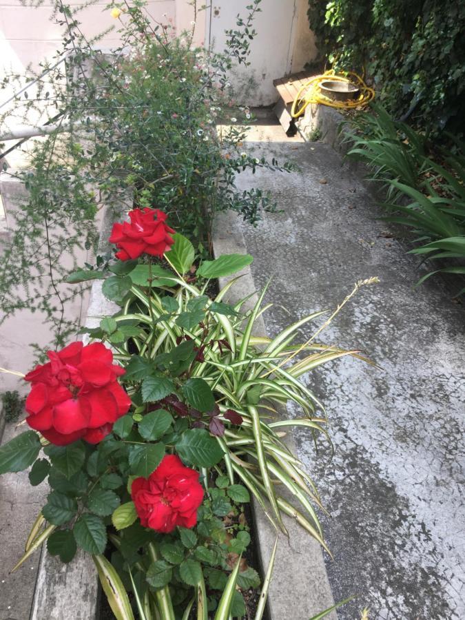 Les Palmiers Niceairport, Beach200M, 2Bedrooms, Wifi Optic Экстерьер фото
